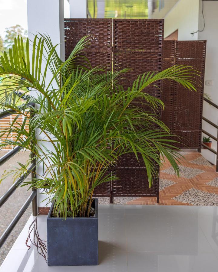 Villas Mapache Del Caribe Puerto Viejo de Talamanca Exterior foto